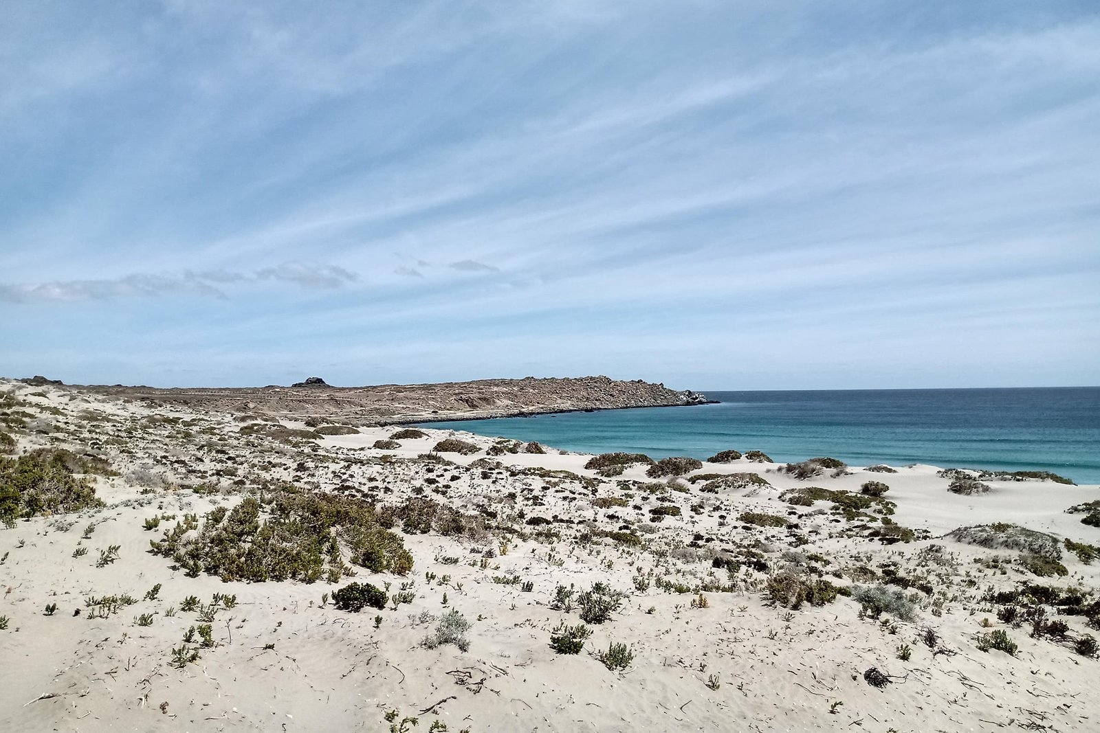 IMG_20201003_134159256_HDR